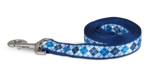 Aspen Ribbon Overlay Dog Leash Blue