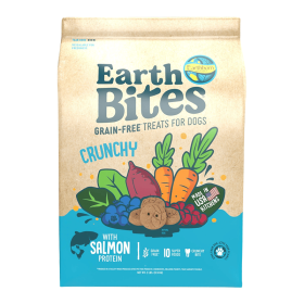 Earthborn Holistic EarthBites Crunchy Dog Treats Salmon & Pumpkin