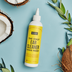 Ear Cleaner