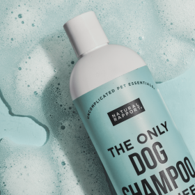 Dog Shampoo