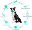 Pet Dog Cleaning Chew Toys For Aggressive Dogs Rubber Molar Stick Dog Oral Teeth