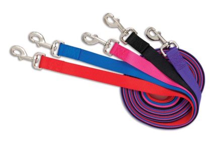 Aspen Core Nylon Dog Leash Red