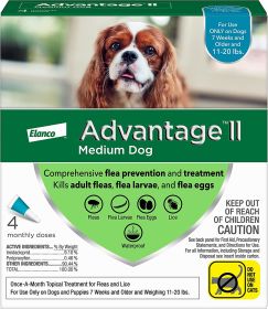 Advantage Ii Dog Meduim Teal 4