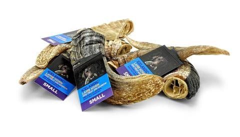 Icelandic  Lamb Horn