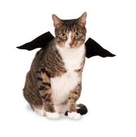 Rubies Pet Bat Wings S/M