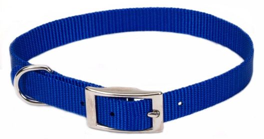 Coastal SinglePly Nylon Dog Collar Blue (Option: 1ea/5/8 In X 14 in)