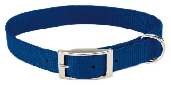 Coastal SinglePly Nylon Dog Collar Blue (Option: 1ea/3/4 In X 16 in)