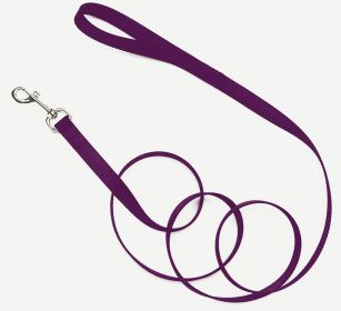Coastal SinglePly Nylon Dog Leash Purple, (Option: 1ea/3/4 In X 6 ft)