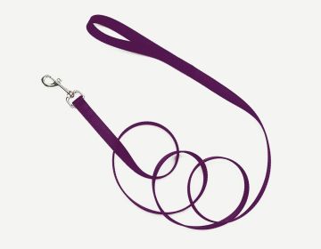 Coastal Single (Option: Ply Nylon Leash Purple 1X4Ft)