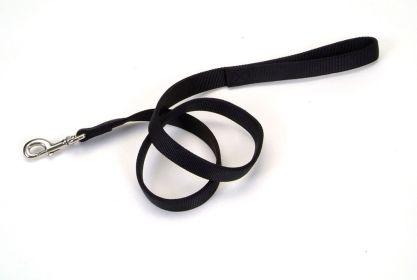 Coastal DoublePly Nylon Dog Leash Black, (Option: 1ea/1 In X 4 ft)
