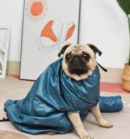 Automatic Drying Bag With Quick Drying Hair Dryer For Bathing (Option: M-Blue)