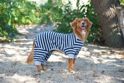 Spot Ethical Pet Striped Pajama (Option: Blue Medium)