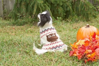 Fashion Pet Owl Sweater Cream (Option: Medium)