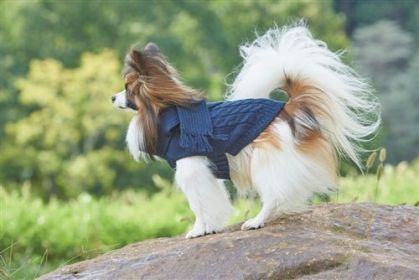 Fashion Pet Scarf Sweater Blue (Option: Medium)