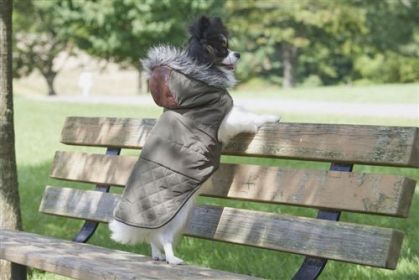 Spot Ethical Pet Leather Detail Coat Olive (Option: Medium)