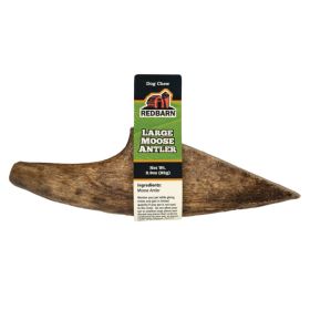 Redbarn Pet Products Moose Antler Dog Chew (Option: 1ea/LG)