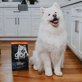 Go! Dog Weight Management & Joint Care Grain Free Chicken (Option: 22Lb)