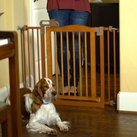 One-Touch Gate II (Option: Brown)