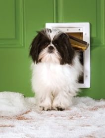 PetSafe Extreme Weather Plastic Frame Dog Door (Option: Small)