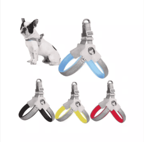 YT Pet Dog Cat Harness, Pet Harness With Leash Group, Adjustable Puppy Harness Comfortable Reflective Easy Control Dog With Leather (Option: Medium-Yellow)